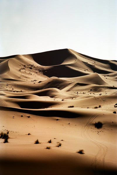 Print Dune - BELDY