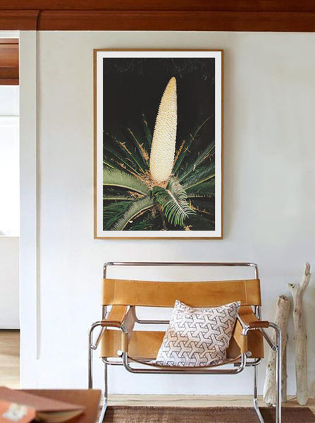 Print Cactus - BELDY