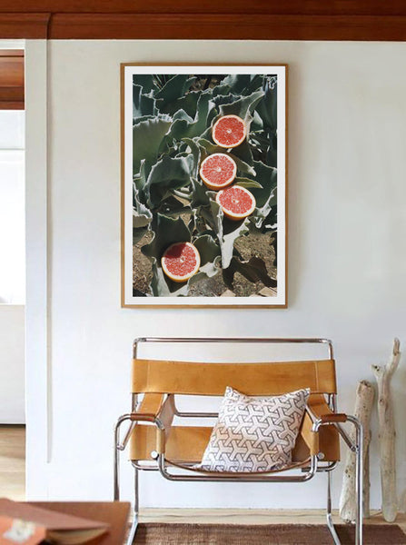 Print Pomelos - BELDY