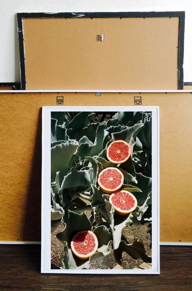 Print Pomelos - BELDY